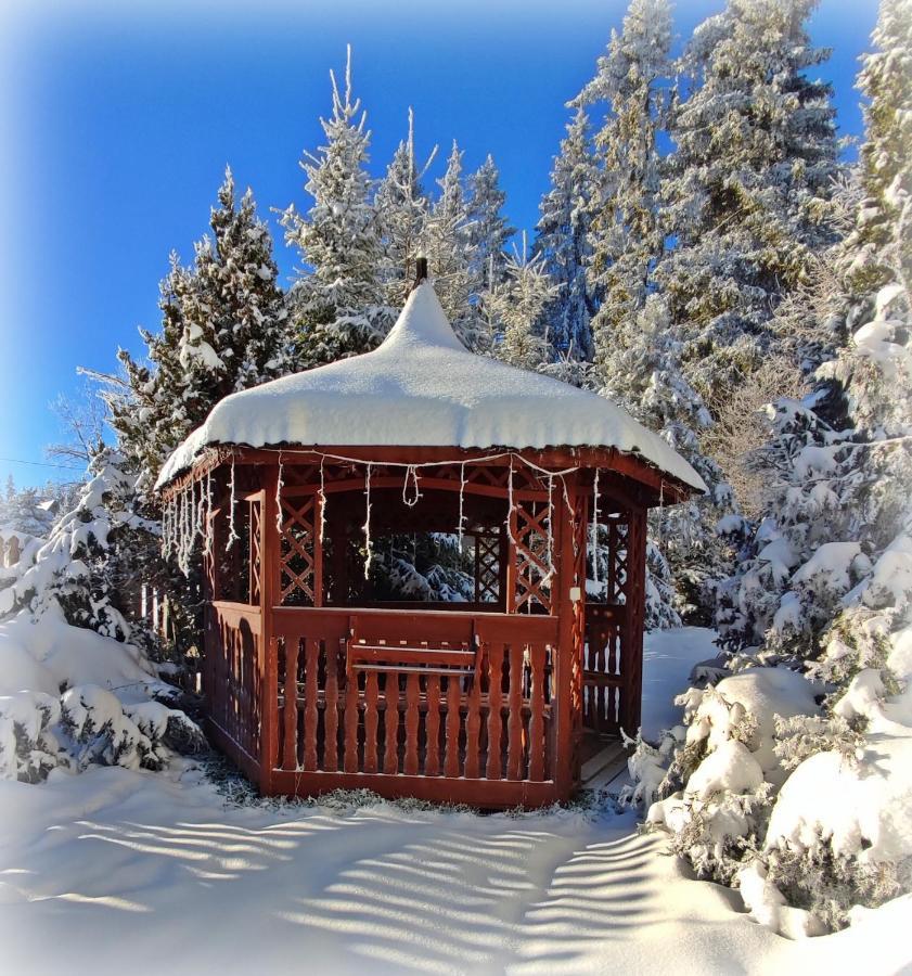 Willa Juna Tatry Nowe Bystre المظهر الخارجي الصورة