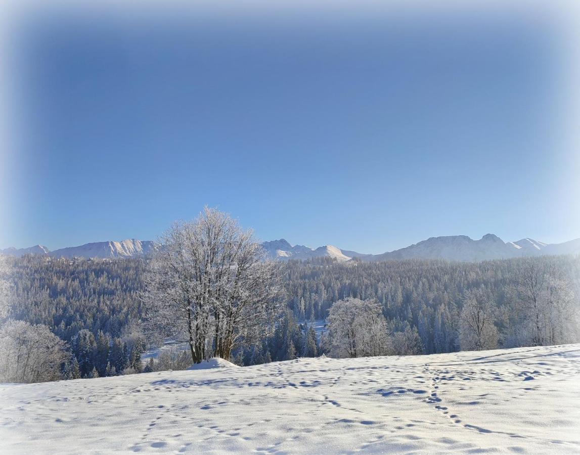 Willa Juna Tatry Nowe Bystre المظهر الخارجي الصورة